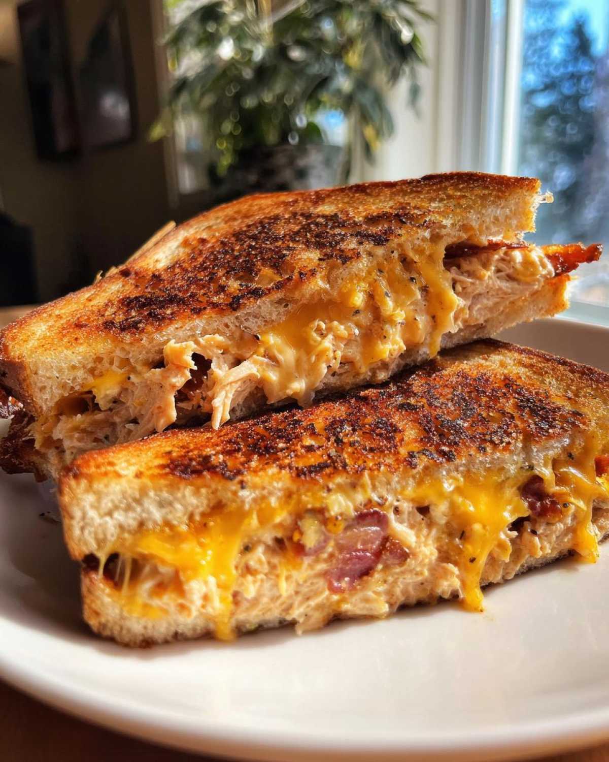 Bacon tuna melt - detail 2