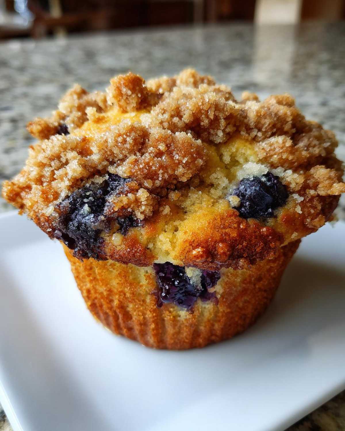 Blueberry streusel muffins - detail 1