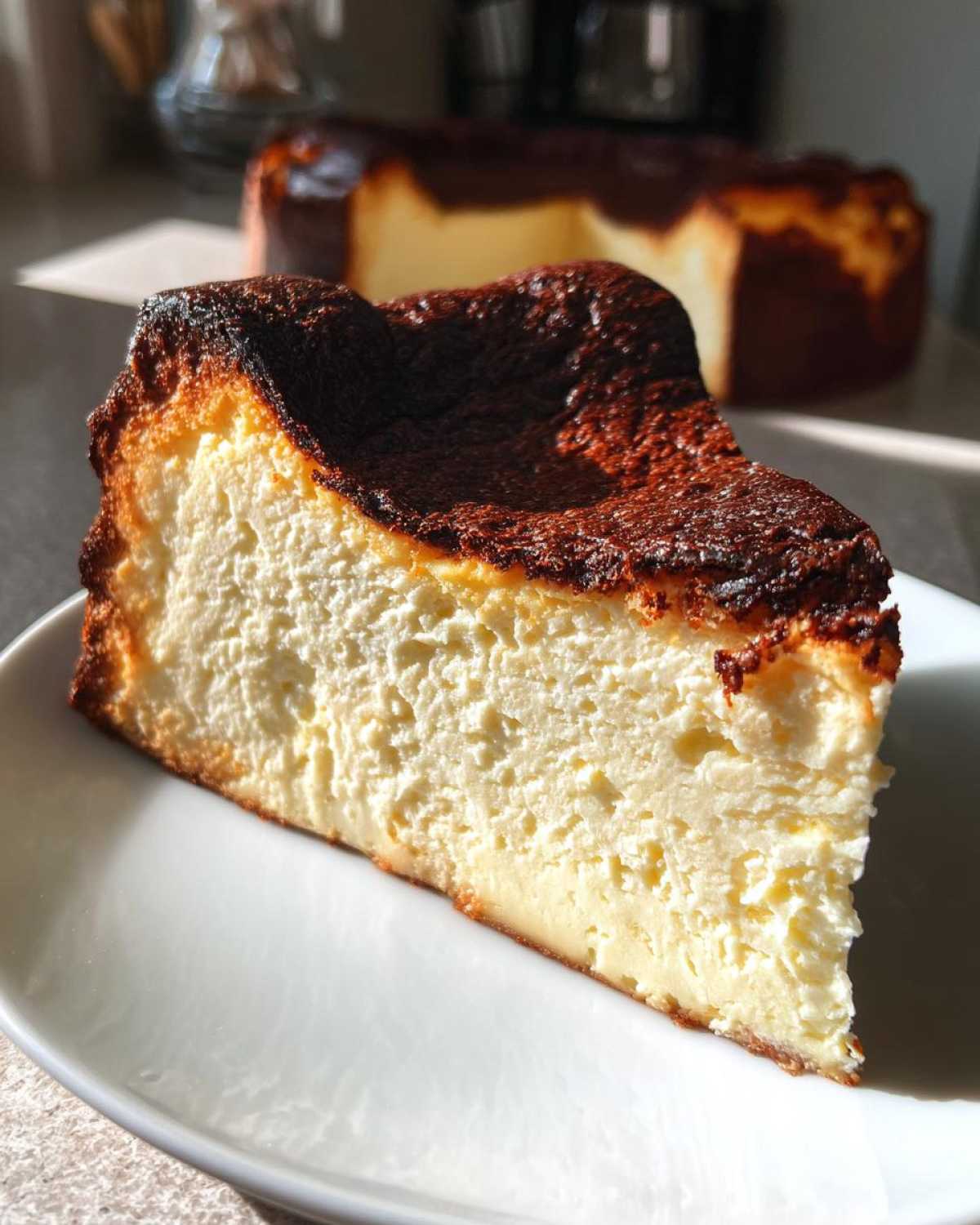 Basque Burnt Cheesecake - detail 4