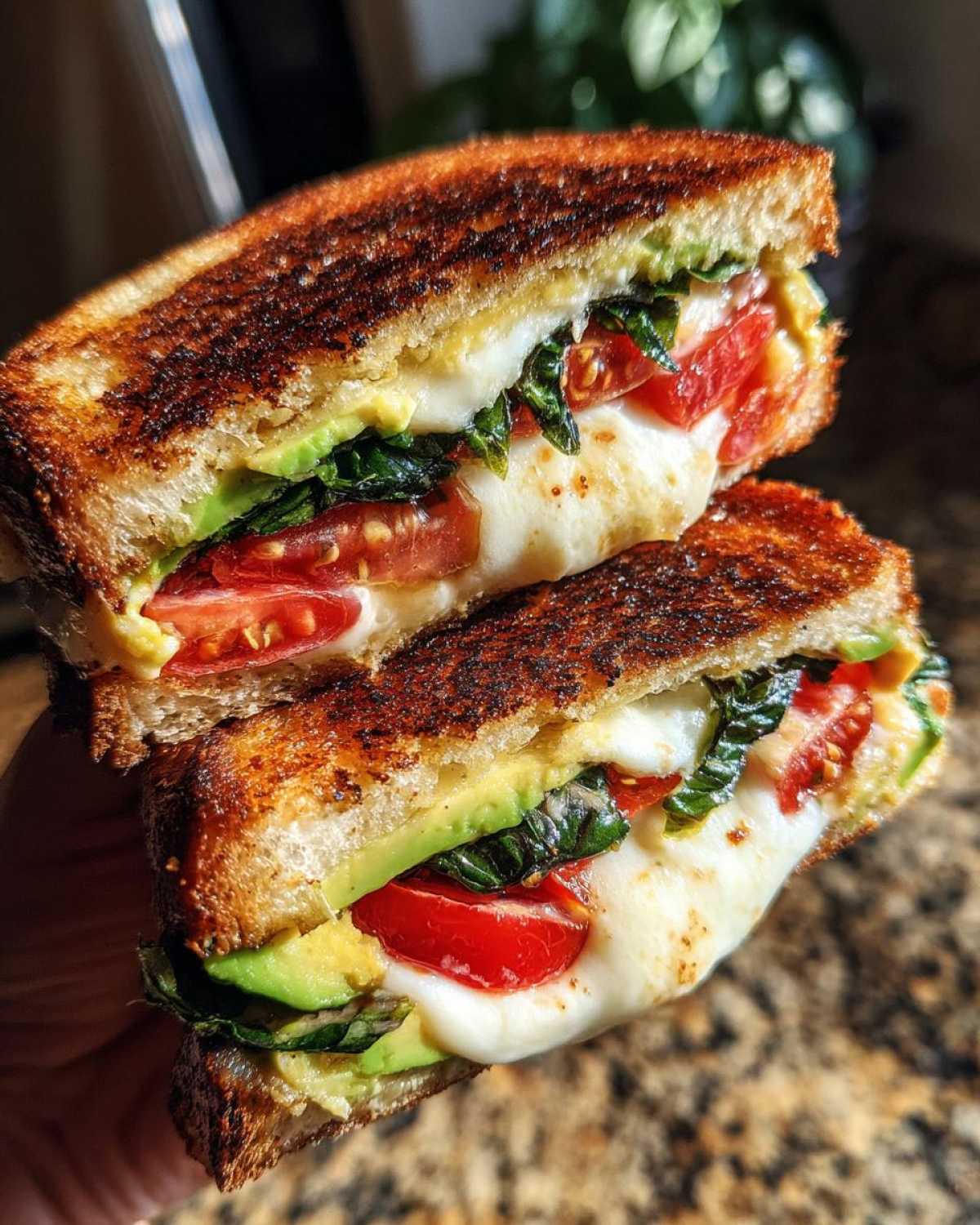 Caprese Avocado Grilled Cheese - detail 1