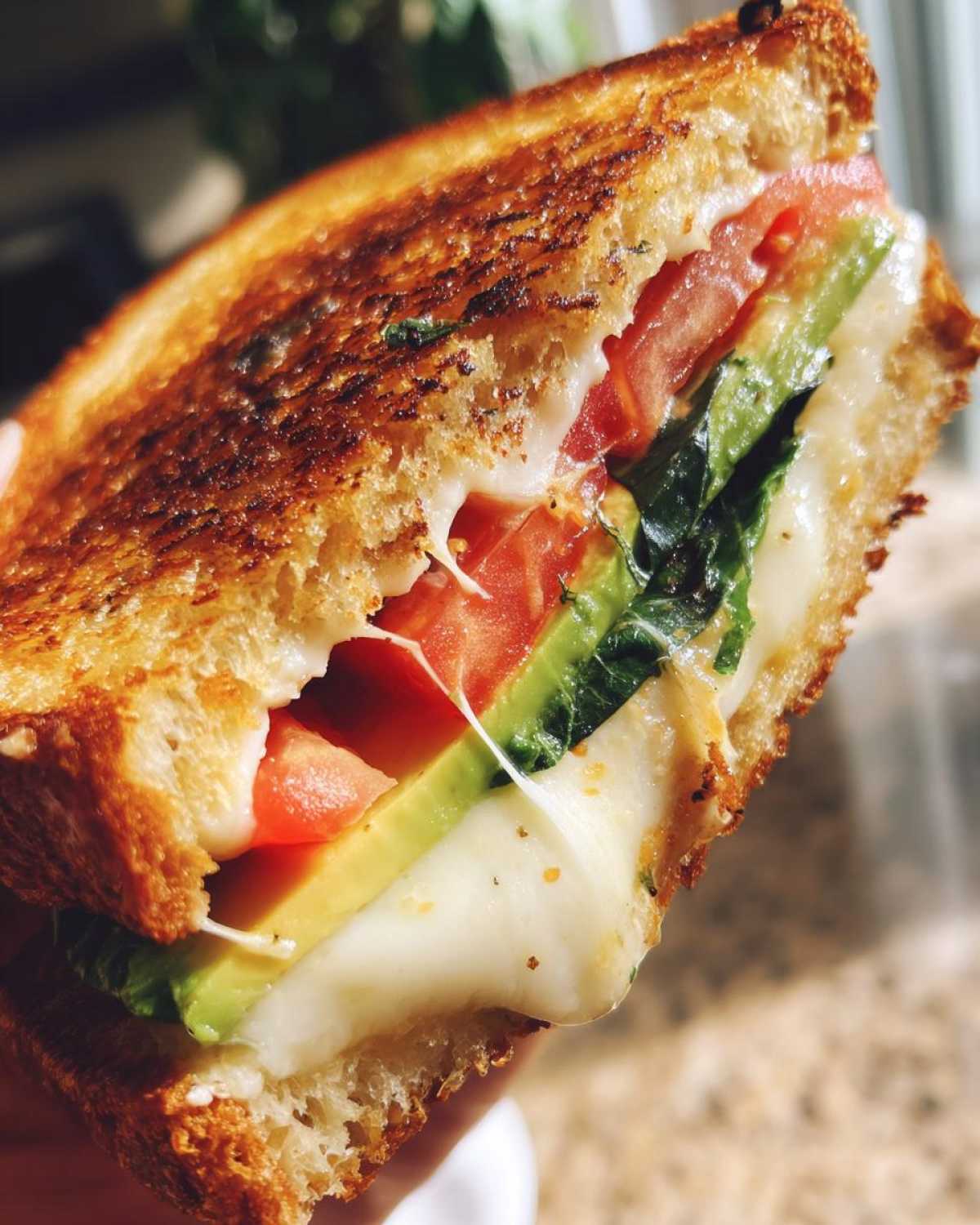 Caprese Avocado Grilled Cheese - detail 2