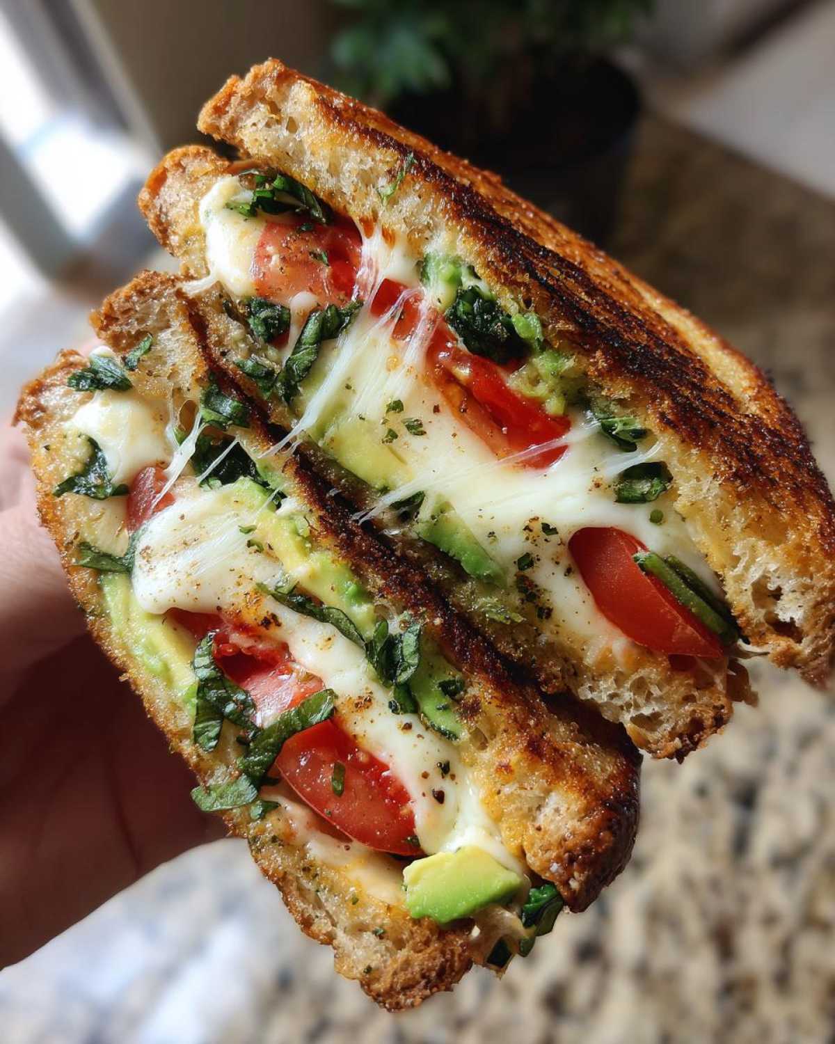 Caprese Avocado Grilled Cheese - detail 3