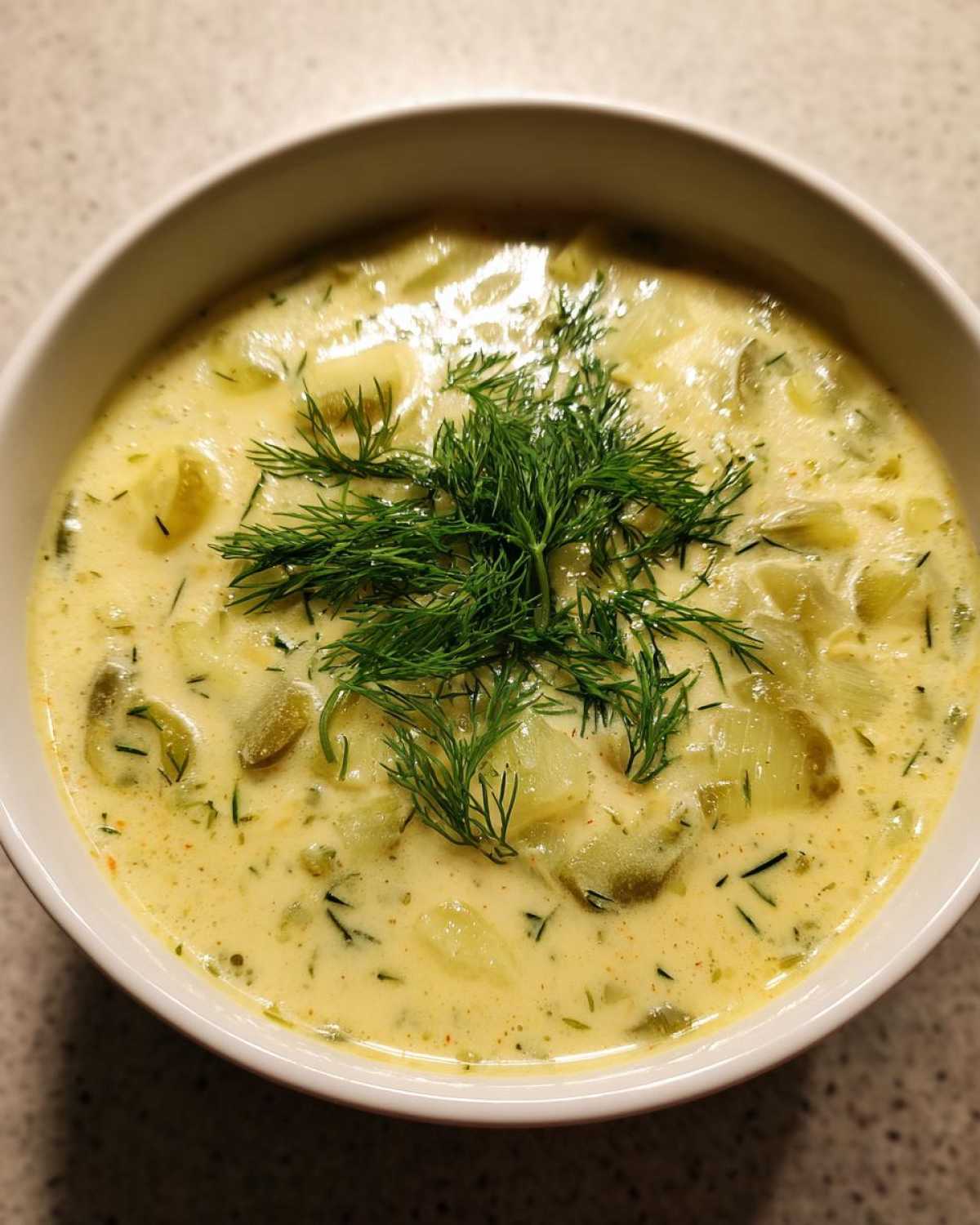 Cheesy Dill Pickle Soup - detail 1