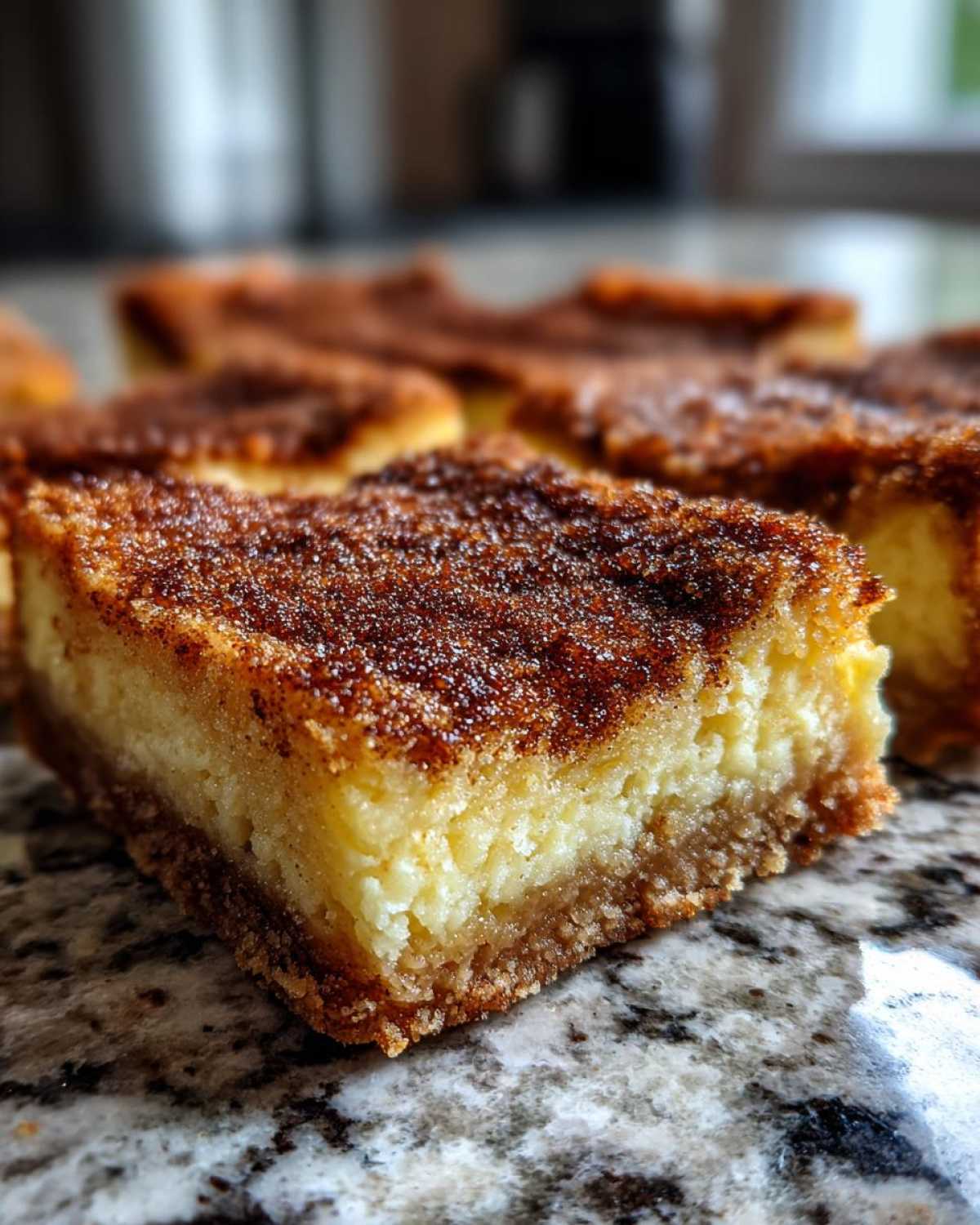 Churro Cheesecake Bars - detail 3