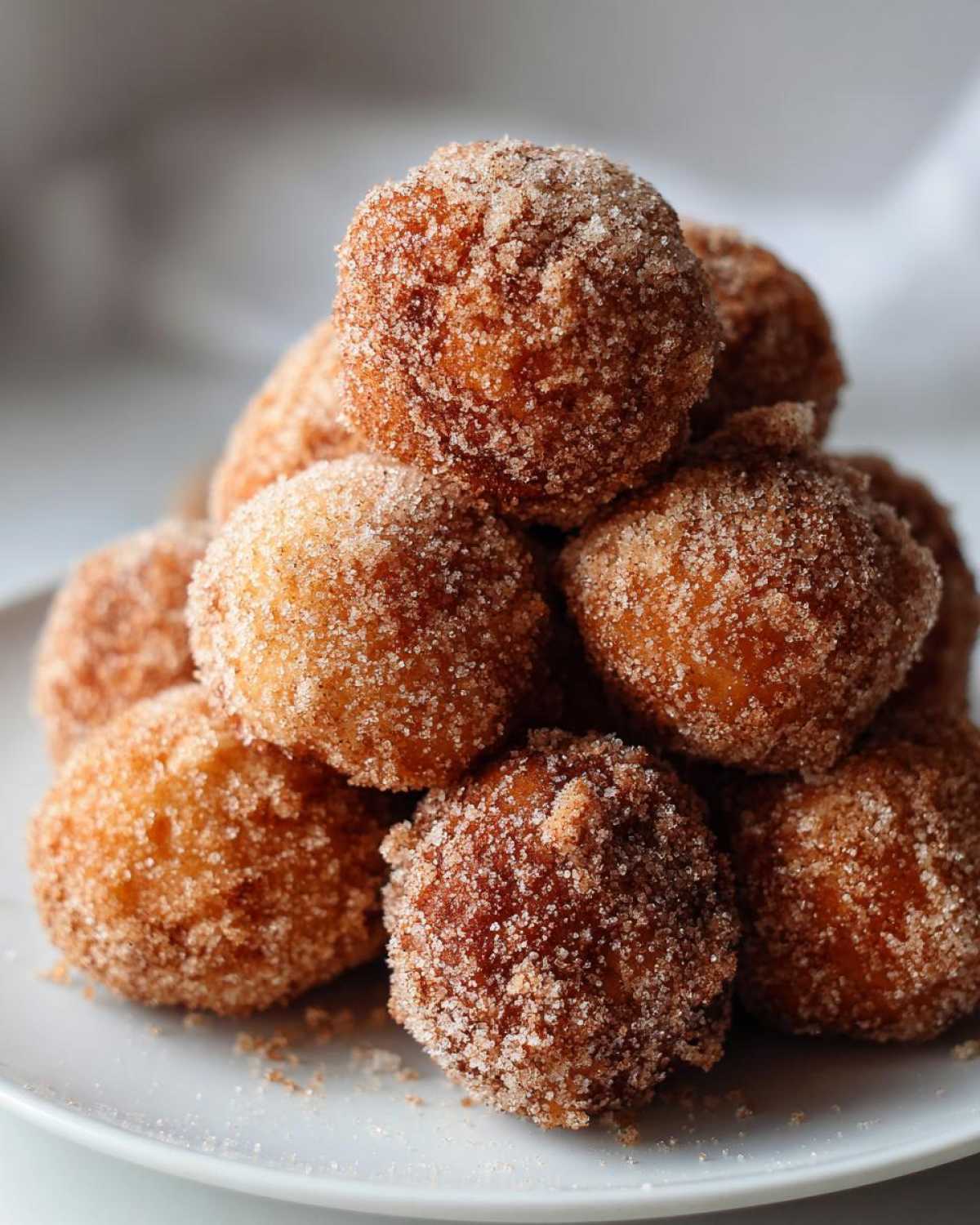 Churro Donut Holes - detail 4