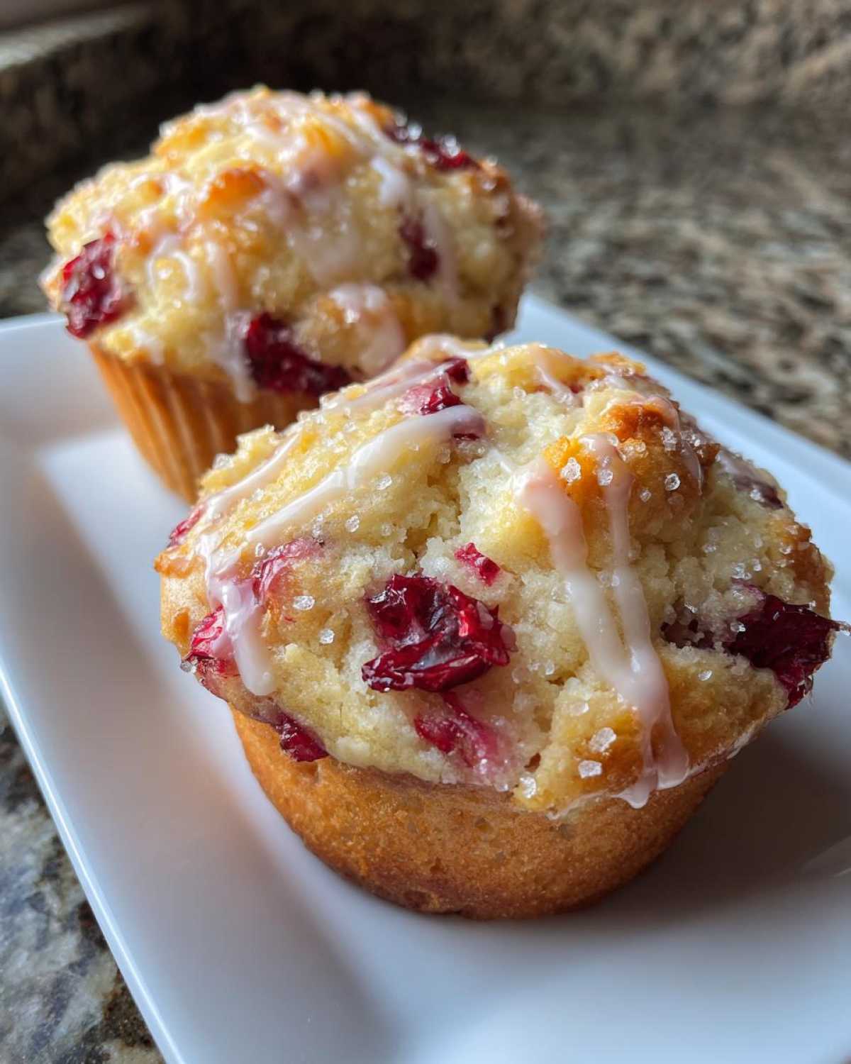 Cranberry Orange Muffins - detail 2