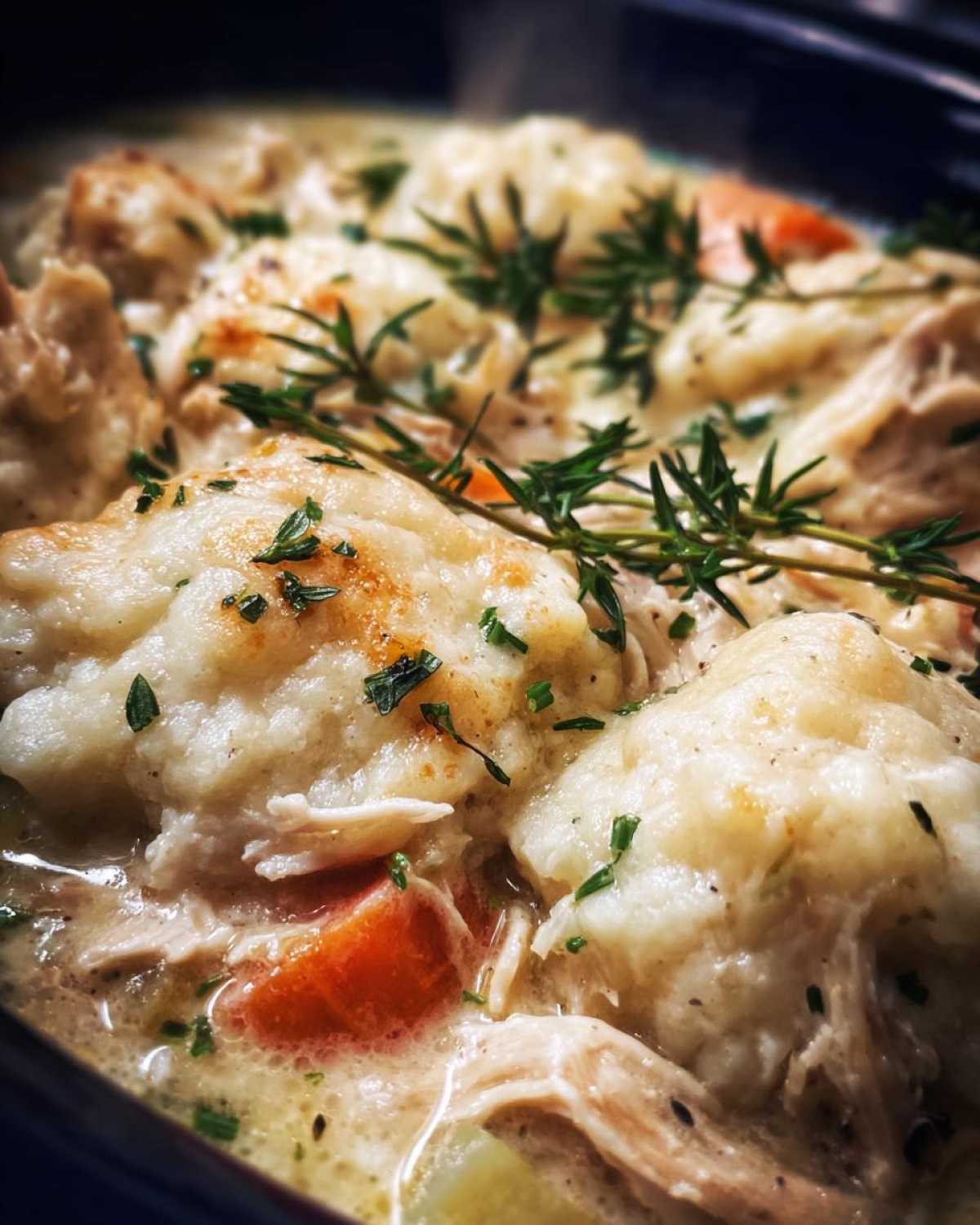 Crockpot Chicken and Dumplings - detail 2