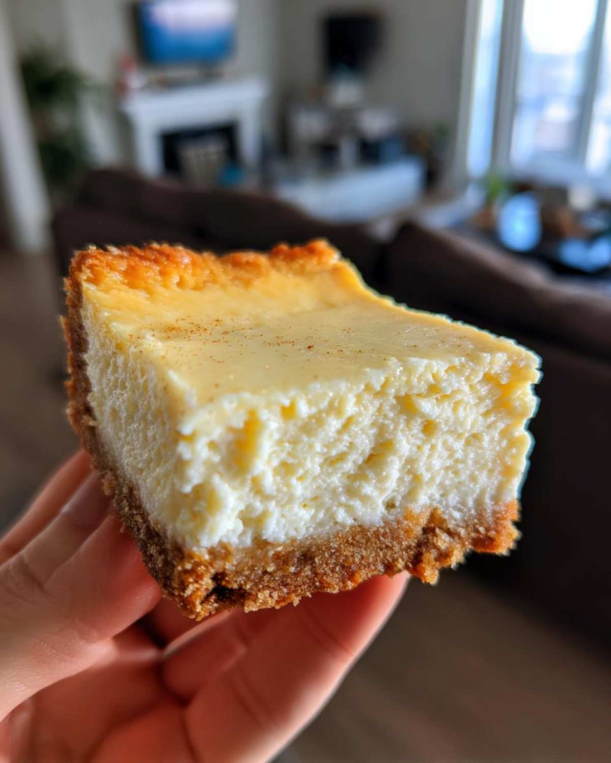 Eggnog Cheesecake Bars - detail 4