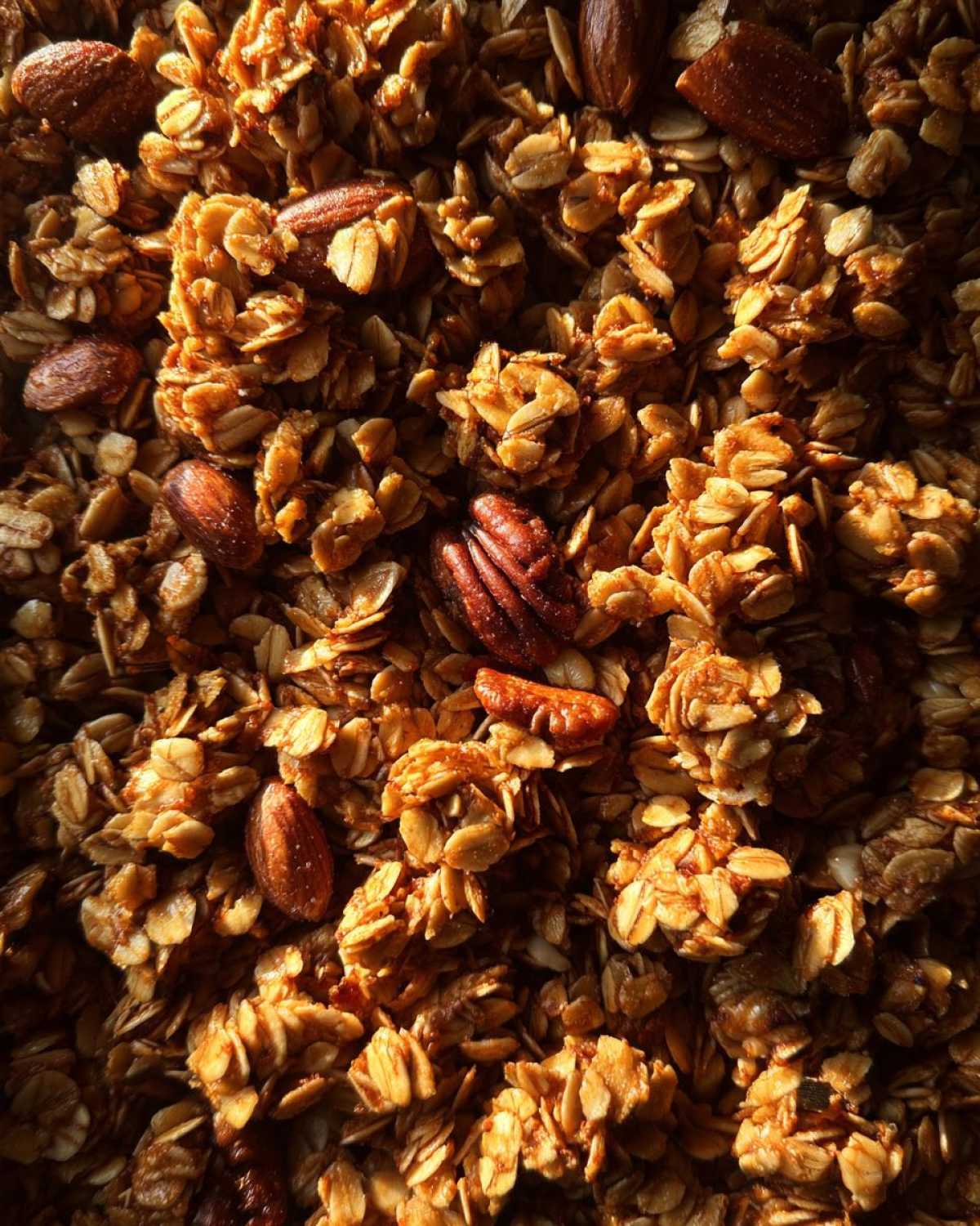 Gingerbread Granola - detail 1