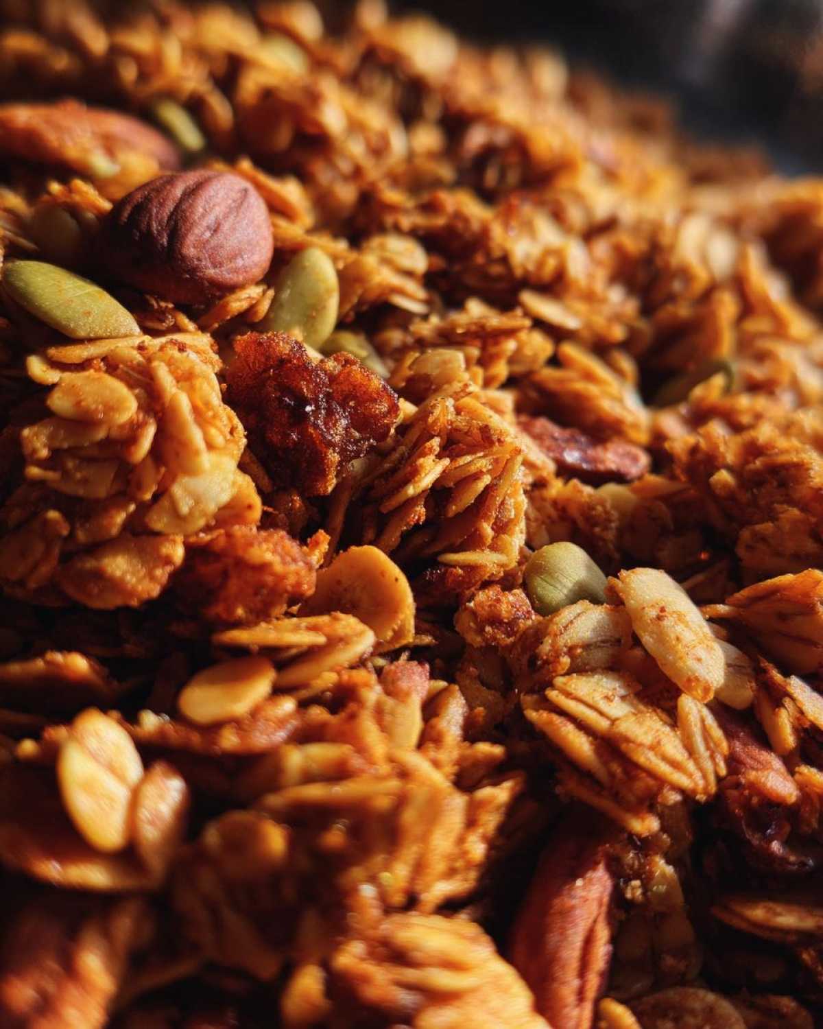 Gingerbread Granola - detail 4