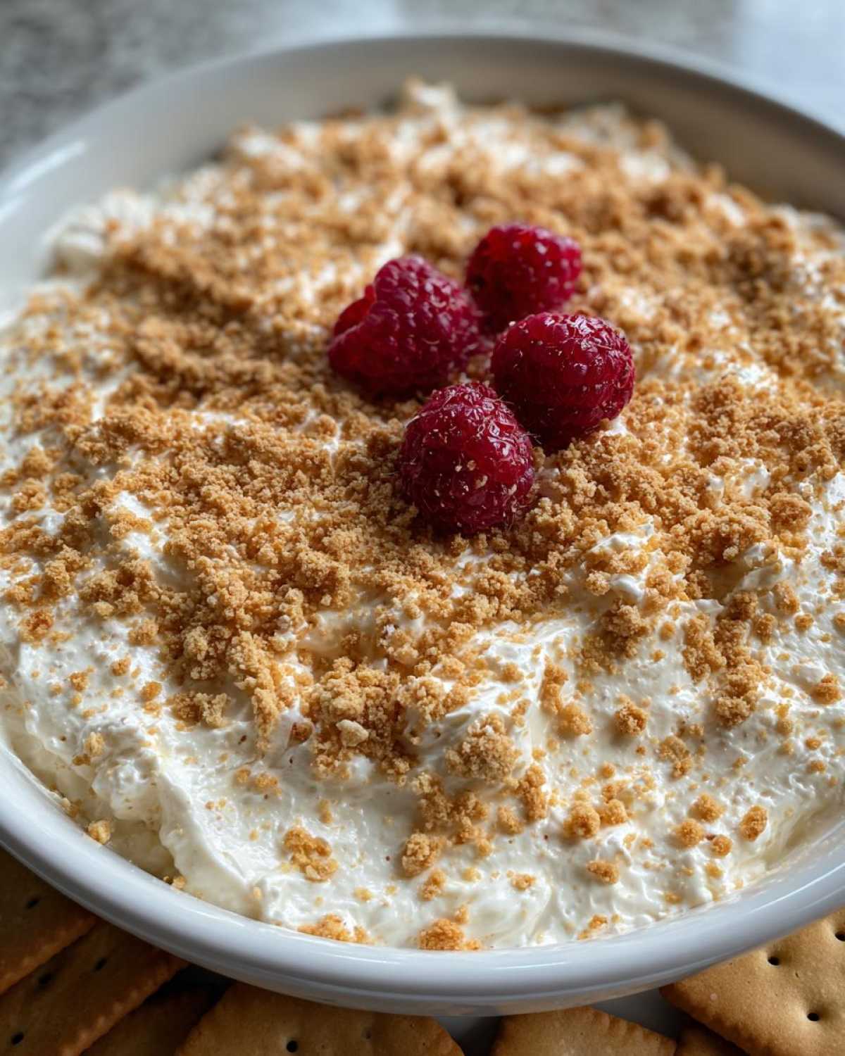 Holiday Cheesecake Dip - detail 2
