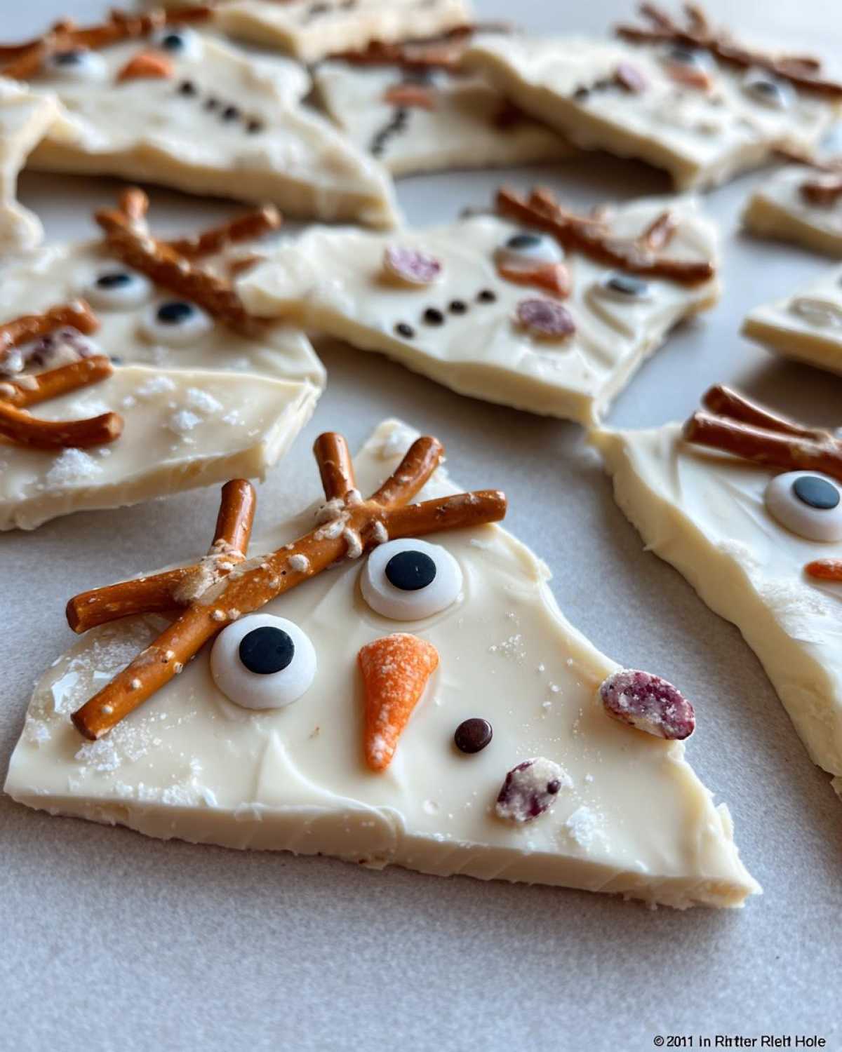 Melted Snowman Bark - detail 2