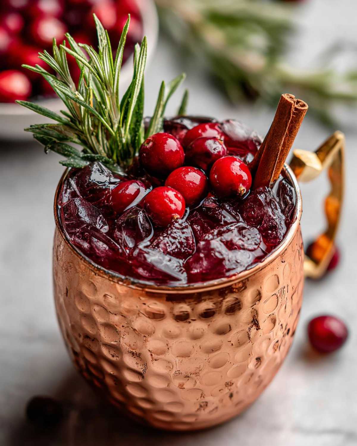 Spiced Cranberry Moscow Mule - detail 1