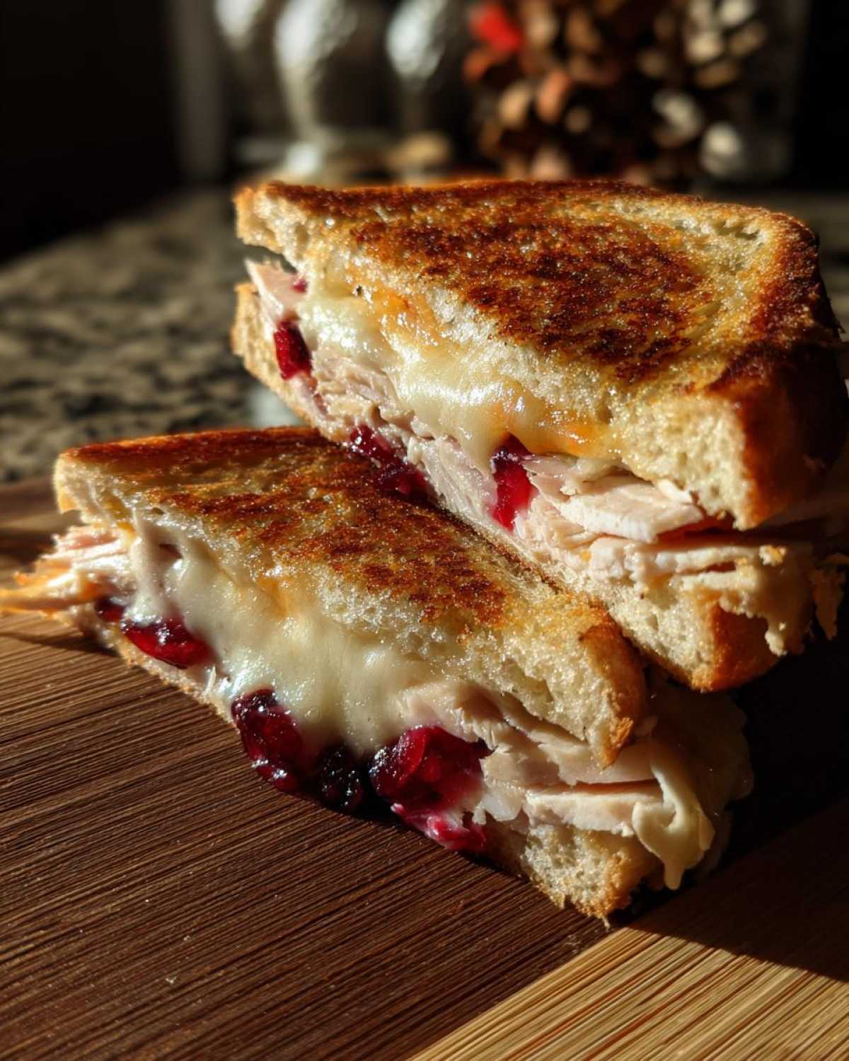 Turkey Cranberry Panini - detail 2