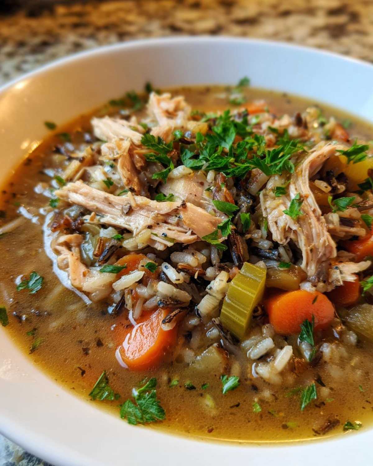 Turkey and Wild Rice Soup - detail 1