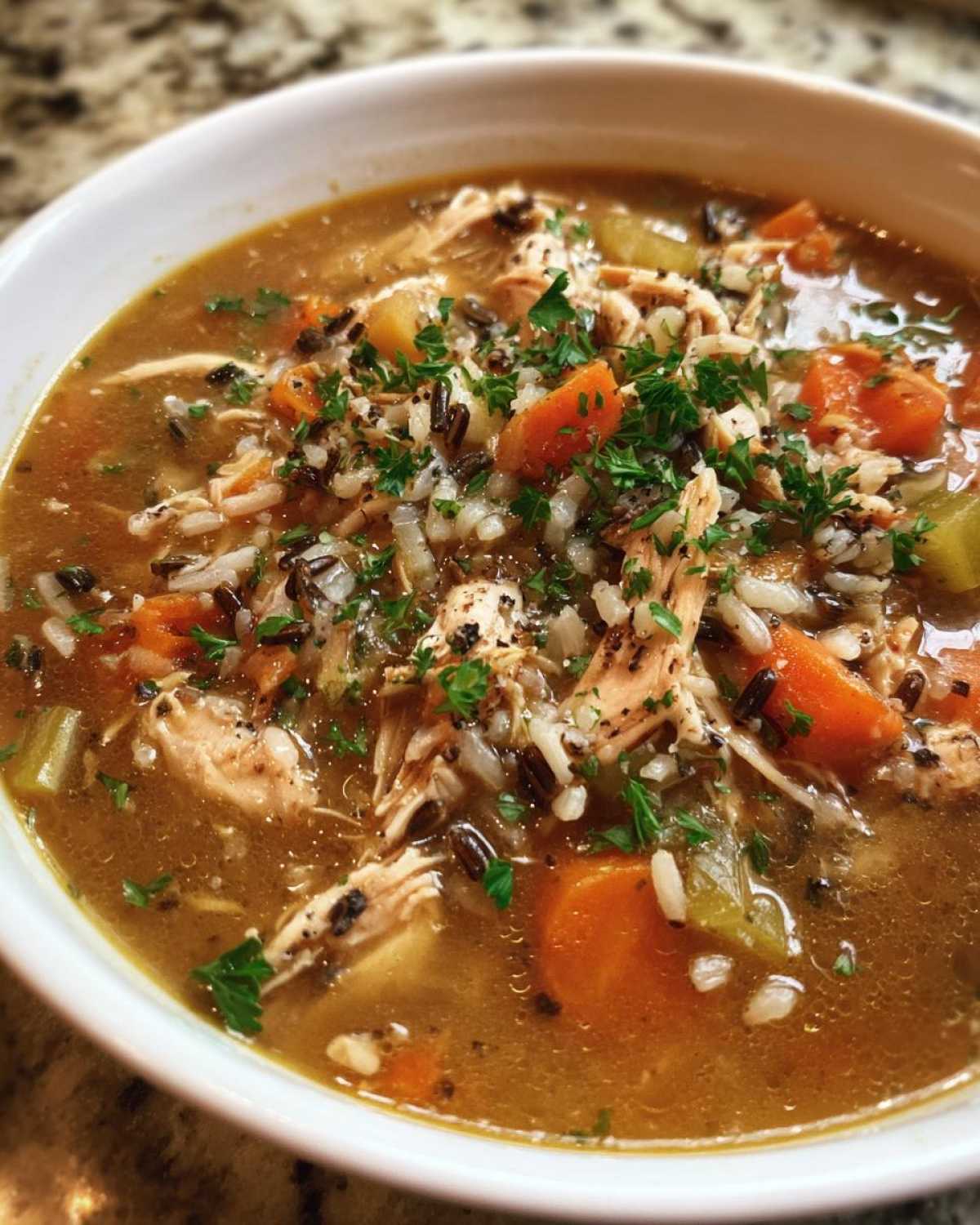 Turkey and Wild Rice Soup - detail 2