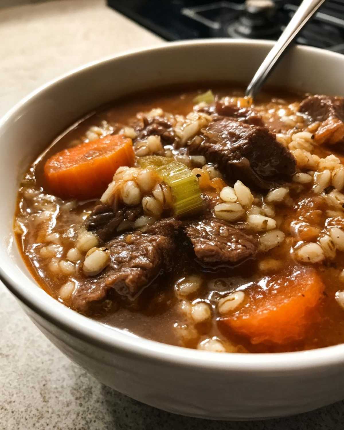 Beef Barley Winter Stew - detail 2