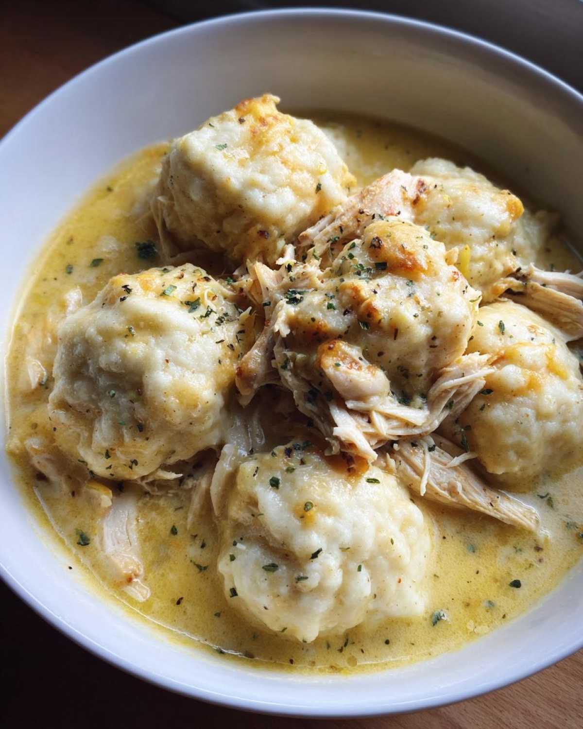 Classic Chicken and Dumplings - detail 2