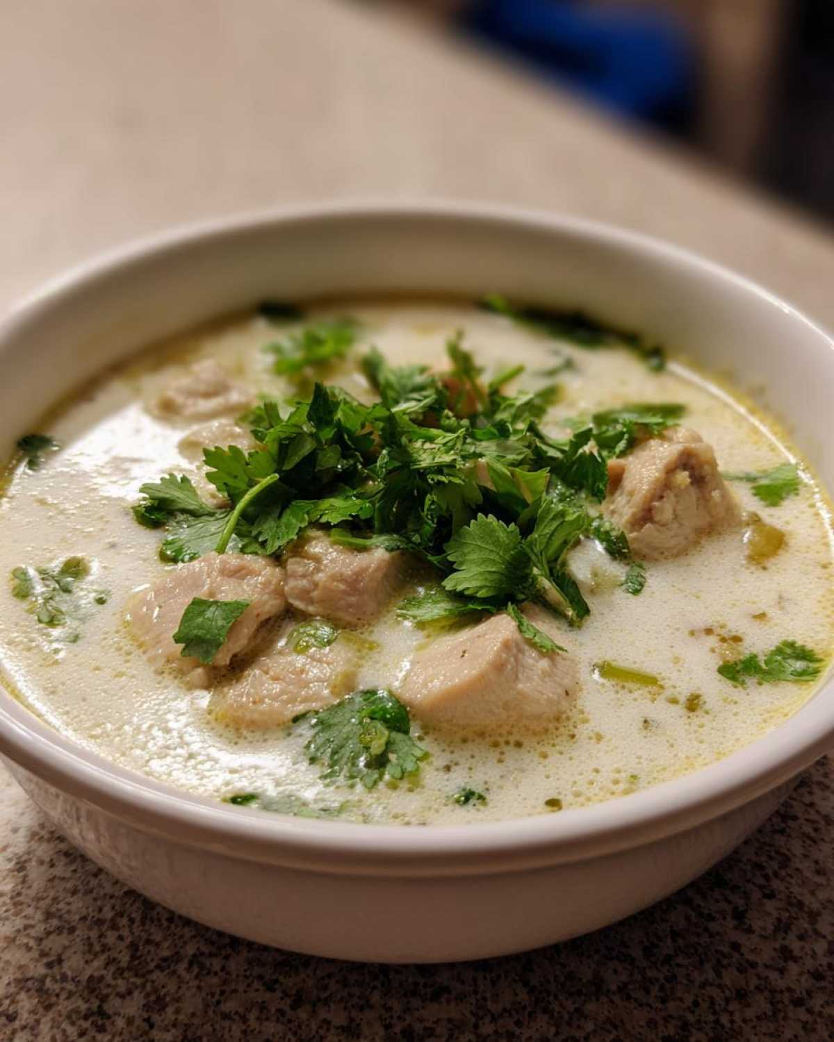 Coconut Lemongrass Chicken Soup - detail 2