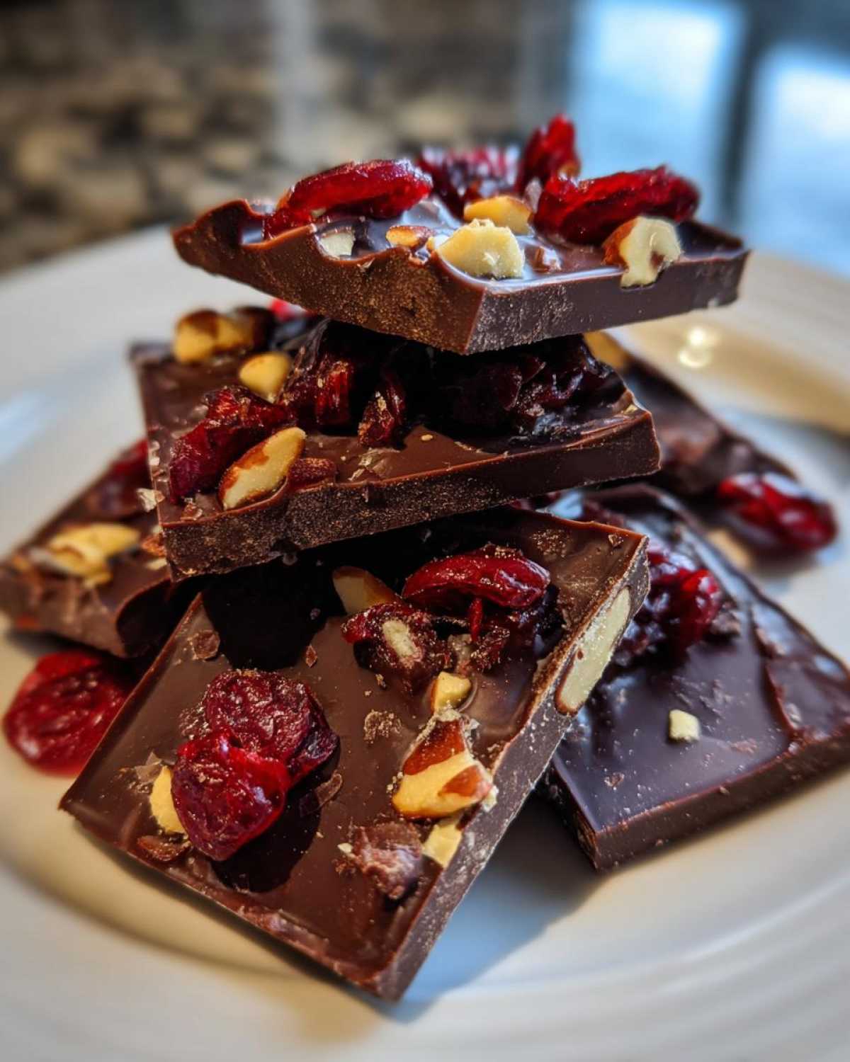 Dark Chocolate Bark with Cranberries - detail 3