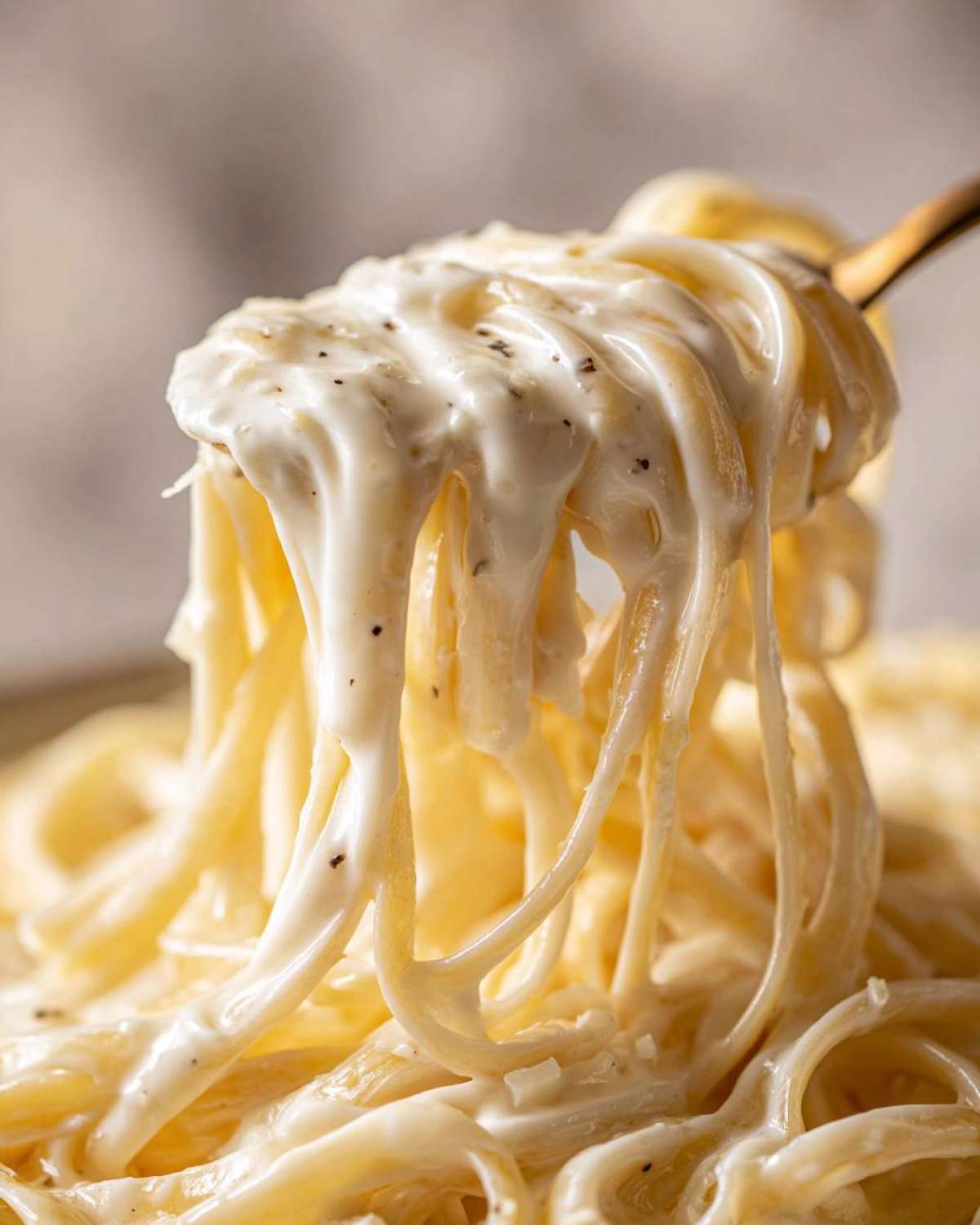 Close-up of fettuccine noodles coated in thick, creamy homemade alfredo sauce being lifted by a fork.