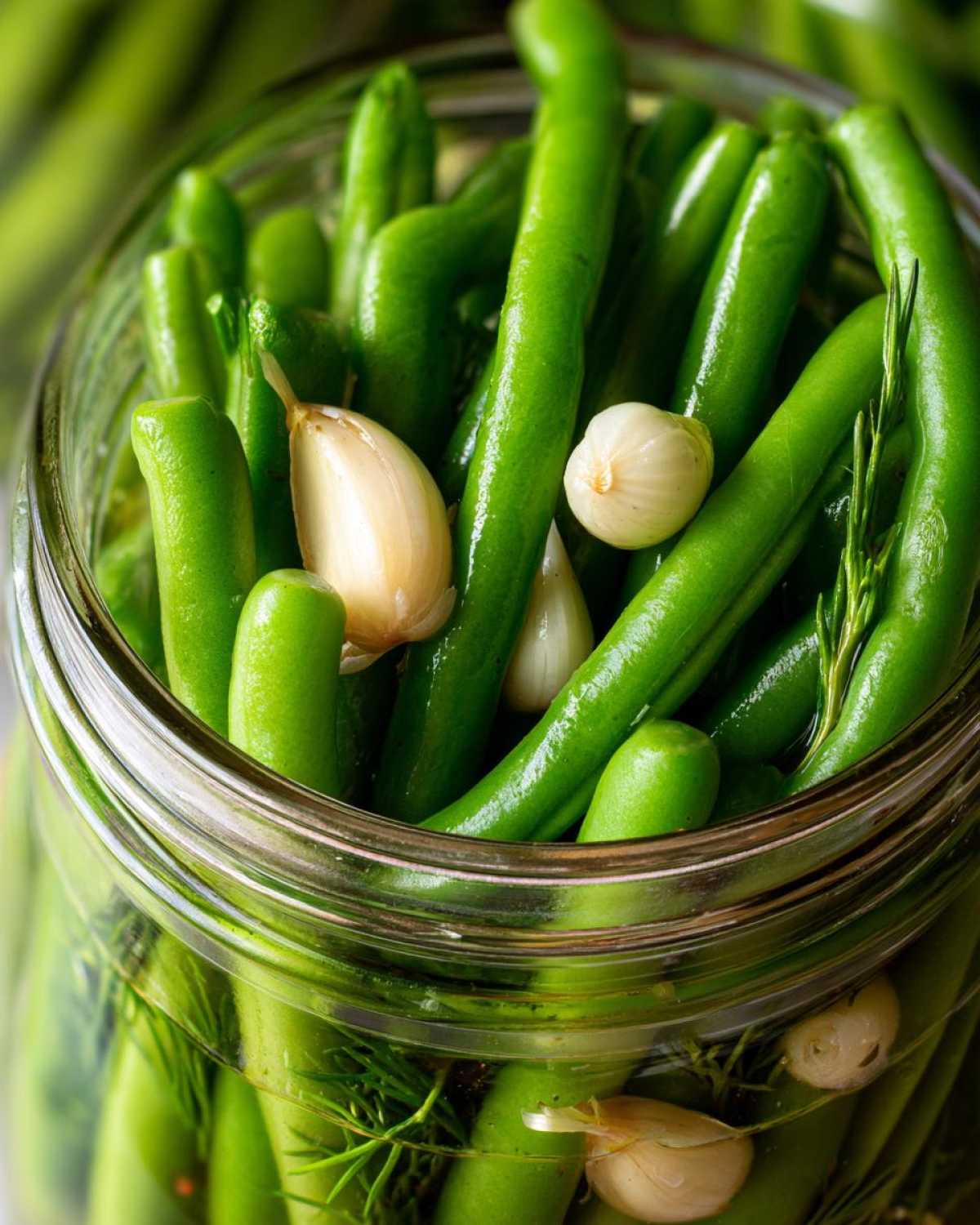 Close-up of fresh green beans packed tightly in a glass jar with garlic cloves and dill for making dilly beans.