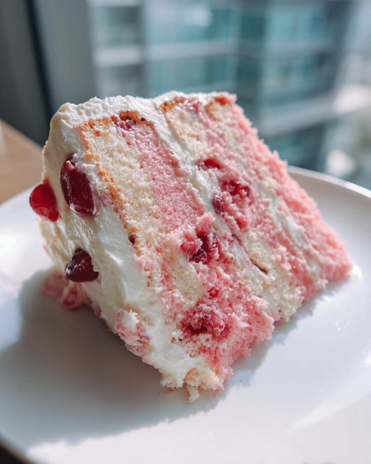 Close-up of a moist slice of 1-layer cherry cake featuring pink and white sponge layers filled with cherries and white frosting.
