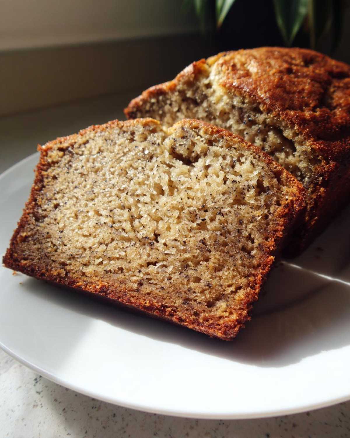 Close-up of two thick slices of moist greek yogurt banana bread on a white plate.