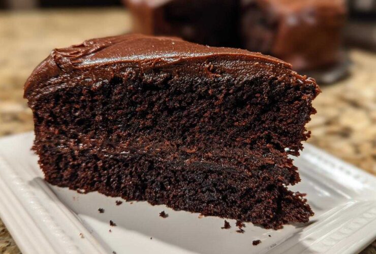 Close-up of a rich, dark slice of homemade chocolate cake topped with glossy chocolate frosting.